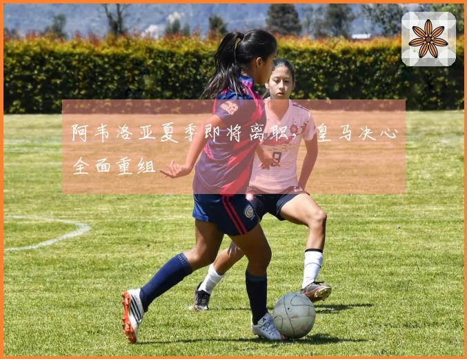 阿韦洛亚夏季即将离职，皇马决心全面重组