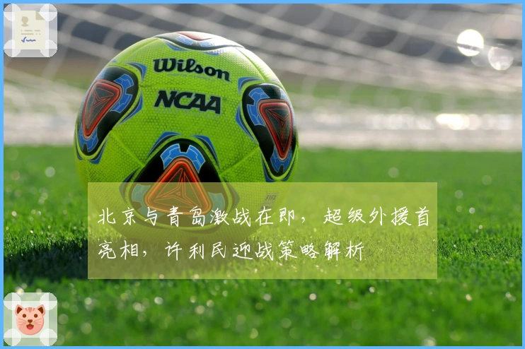 北京与青岛激战在即，超级外援首亮相，许利民迎战策略解析